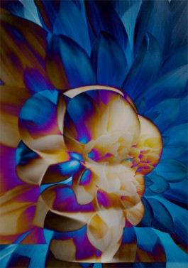 SILKE MAYER PHOTOGRAPHY.   interiors. design. objects