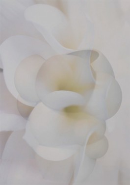 SILKE MAYER PHOTOGRAPHY.   interiors. design. objects